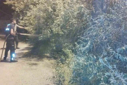 Van’da bahçe yangını korkuttu

