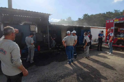 Bolu’da Erpiliç kümeslerinde yükselen dumanlar itfaiyeyi alarma geçirdi
