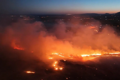 Adıyaman’da ormanlık alanda yangın
