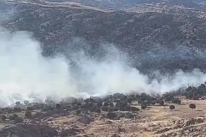 Adıyaman’da ormanlık alanda yangın
