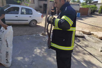 Yatak odasında çığlık attıran görüntü
