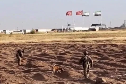 Öncüpınar Sınır Hattı’nda mayın temizleme çalışmaları sürüyor
