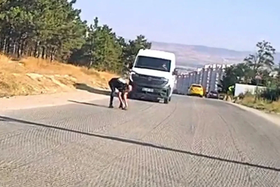 Bir yandan koştu, bir yandan diğer sürücüleri uyardı: Kaplumbağayı ezilmekten kurtardı
