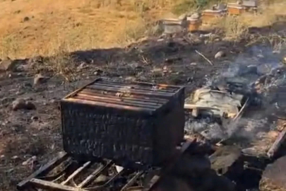 Bingöl’de 25 arı kovanı küle döndü
