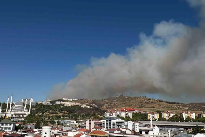 Çanakkale’de orman yangını
