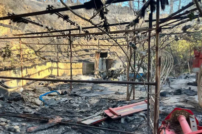 Alanya’da orman yangını muz seralarına sıçradı: 17 hektarlık alan zarar gördü
