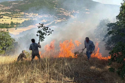 Domaniç’te tarlada başlayan ve ormanlık alana sıçrayan yangın söndürüldü
