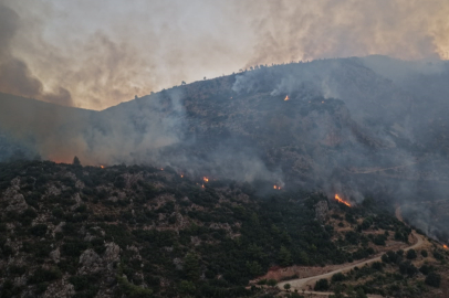 Antalya ve Muğla'daki orman yangınlarına müdahale ediliyor