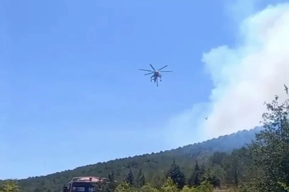 Balıkesir’de bir orman yangını daha
