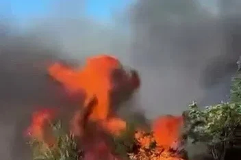 Anız yangını ağaçlara sıçramadan söndürüldü

