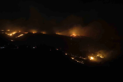 Alanya’daki orman yangınına gece saatlerinde müdahale sürüyor
