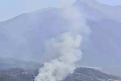 Denizli’de ormanlık alana yakın bölgede arazi yangını çıktı
