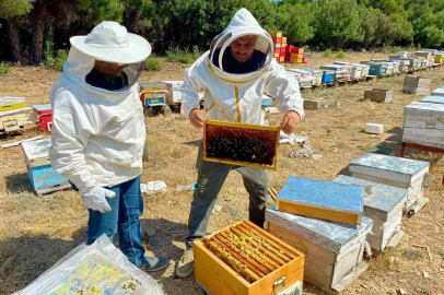 Arılı kovan desteği için işletme denetimleri sürüyor
