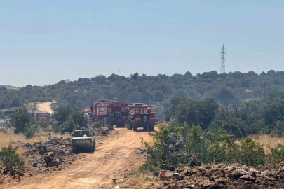 Gaziantep’te orman yangını: Ekiplerin müdahalesi sürüyor