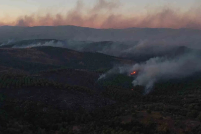 Tıfıllar Köyü’ndeki yangının boyutu gün ağırınca ortaya çıktı
