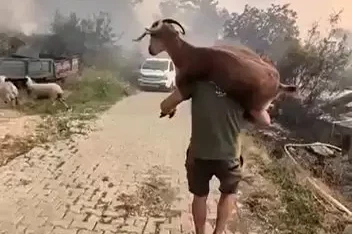 Yangından kurtardığı keçiyi sırtında taşıdı
