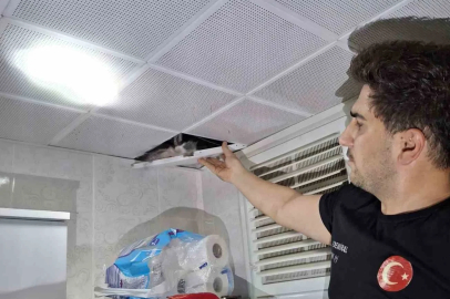 Batman’da asma tavanda sıkışan güvercinler itfaiye tarafından kurtarıldı
