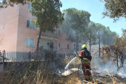 Burhaniye’de zeytinliğe sıçrayan ot yangını polis merkezinde korkuya neden oldu
