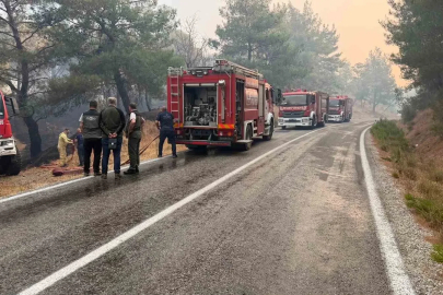 Balıkesir’deki yangın sebebiyle Ayvalık Bergama yolu trafiğe kapatıldı
