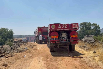 Gaziantep’teki orman yangını kontrol altına alındı
