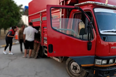 Kaçak hayvan sevkine 175 bin lira ceza
