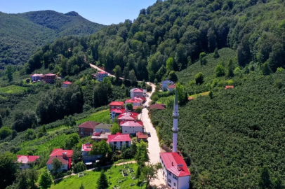 Ordu’nun kırsalında beton yol çalışmaları
