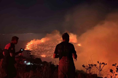 İzmir’in kuzeyinde orman yangını alarmı
