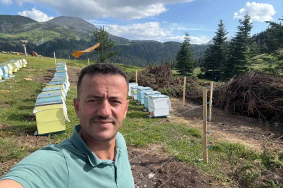 Koruma altındaki gelincik Ilgaz Dağı’nda görüntülendi
