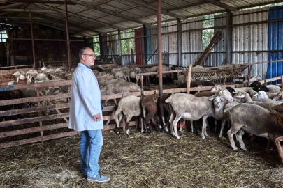 Süt kalitesi ve hayvan sağlığı güvence altında
