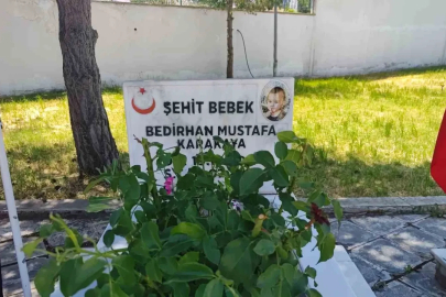 PKK’nın şehit ettiği 11 aylık Bedirhan bebek ve annesi unutulmadı
