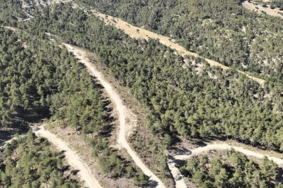 Orman köylülerine endüstriyel odundan 1 milyar TL’lik katkı
