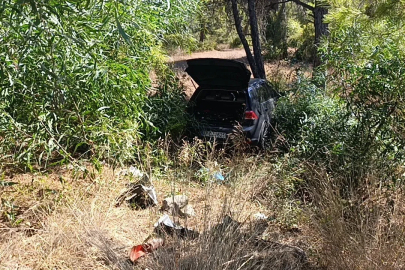 Önündeki otomobile çarptı, ardından ormana daldı: 1 yaralı
