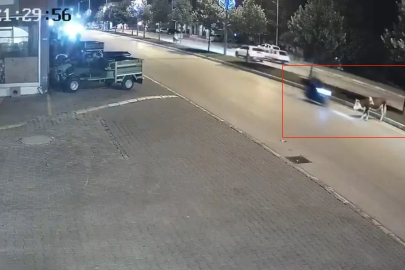 Motosikletle büyükbaş hayvana çarptı
