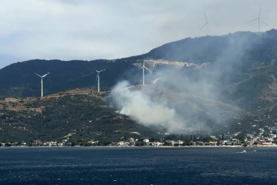 Marmara’da orman yangınına neden olan şüpheli gözaltına alındı
