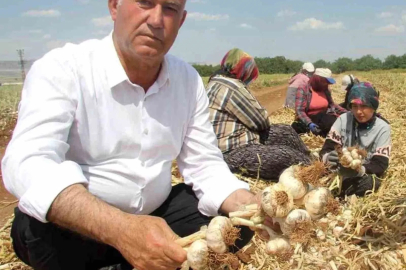 Altun’dan tarım mesajı
