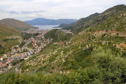 Kara tablo 5 yılda yeşile döndü
