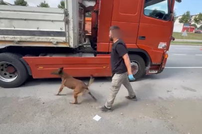 Tırın gizli bölmesinde 7 kilo metamfetamin ele geçirildi
