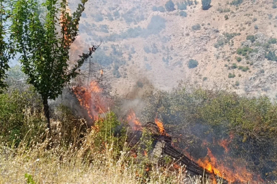 Malatya’da meyve bahçesi ve üzüm bağlarında yangın
