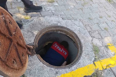 Kanalizasyon borusuna sıkışan yavru kedi kurtarıldı
