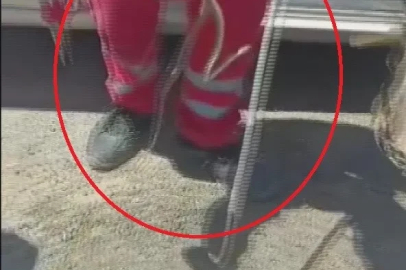 Aracına binerken fark ettiği yılanı itfaiye ekipleri yakaladı
