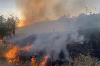 Elazığ’da otluk alanda çıkan yangın söndürüldü
