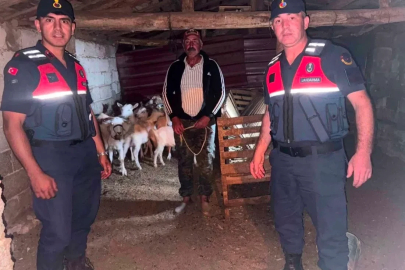 Çanakkale’de kaybolan 15 küçükbaş hayvan jandarma ekiplerince bulunarak sahibine teslim edildi
