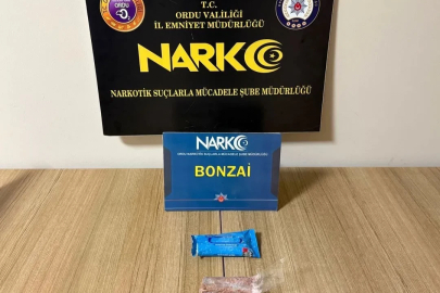 Ordu’da uyuşturucu operasyonlarında 2 tutuklama
