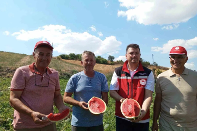 Tekirdağ karpuzu tezgâhlara çıkıyor
