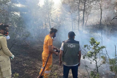 Bolu’da ormanlık alanda çıkan yangın kontrol altına alındı

