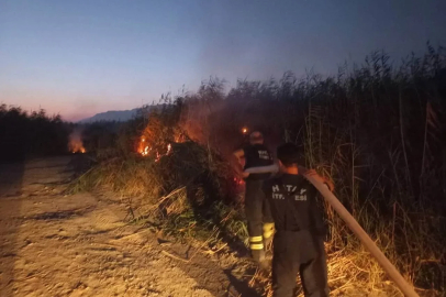 Samandağ’da kamışlık yangını

