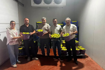 Buharkent’te incir bahçeleri ve alım noktalarında Fusarium denetimi
