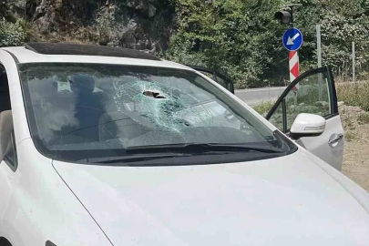 Rize’de otomobilin üzerine kaya düştü: 1 yaralı
