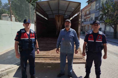 Eskişehir’de çalınan büyükbaş hayvanlardan biri Bilecik’te bulundu
