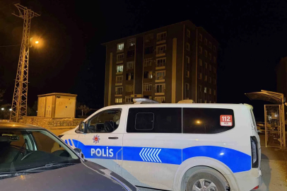 Cinayet zanlısı yakalandı
